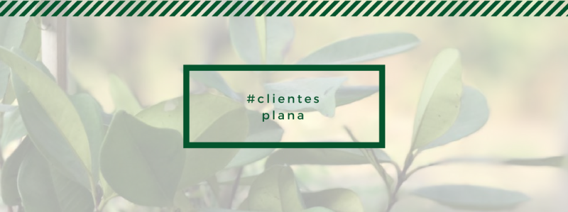 Dia do cliente: saiba o que eles dizem da Plana Ambiental Dia do cliente: saiba o que eles dizem da Plana Ambiental