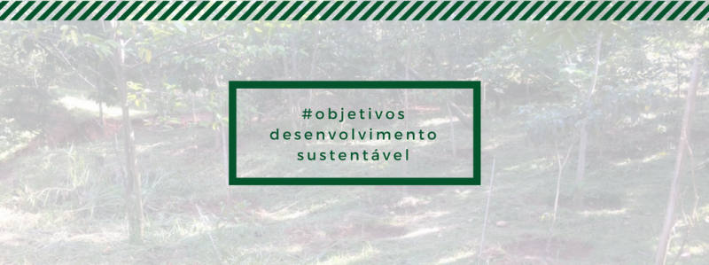 Saiba quais são os 17 Objetivos do Desenvolvimento Sustentável, segundo a ONU Saiba quais são os 17 Objetivos do Desenvolvimento Sustentável, segundo a ONU