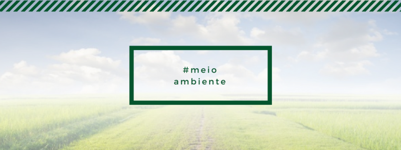 Top 5 melhores blogs de meio ambiente Top 5 melhores blogs de meio ambiente